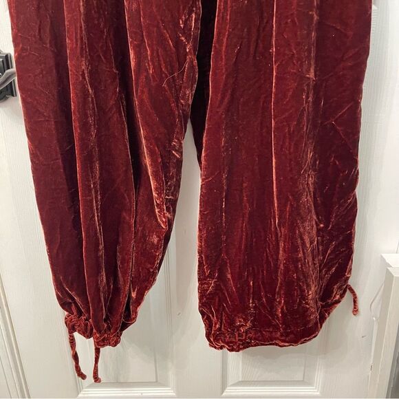 NEW Free People Lotus Velvet Pant in Garnet - Picture 8 of 16